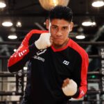 Navarrete Seeks Fourth Title Against Berinchyk in Lightweight Fight on Saturday