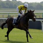 Ambiente Friendly lays down Derby gauntlet with Lingfield victory