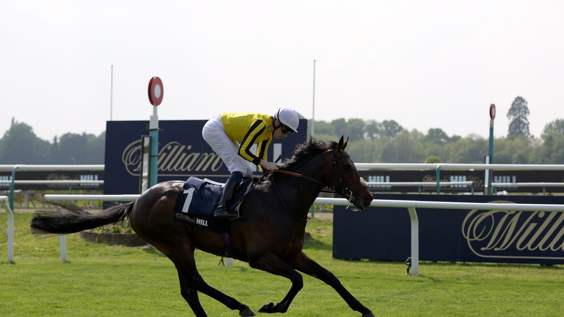 ‘What a wonderful dress rehearsal’| Shepherd’s Epsom Derby dream is alive  with Ambiente Friendly