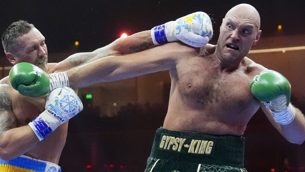 Nelson questions Fury’s appetite for Usyk rematch