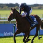 How are the Oaks and Derby pictures after Chester, the French Guineas and the Trials?