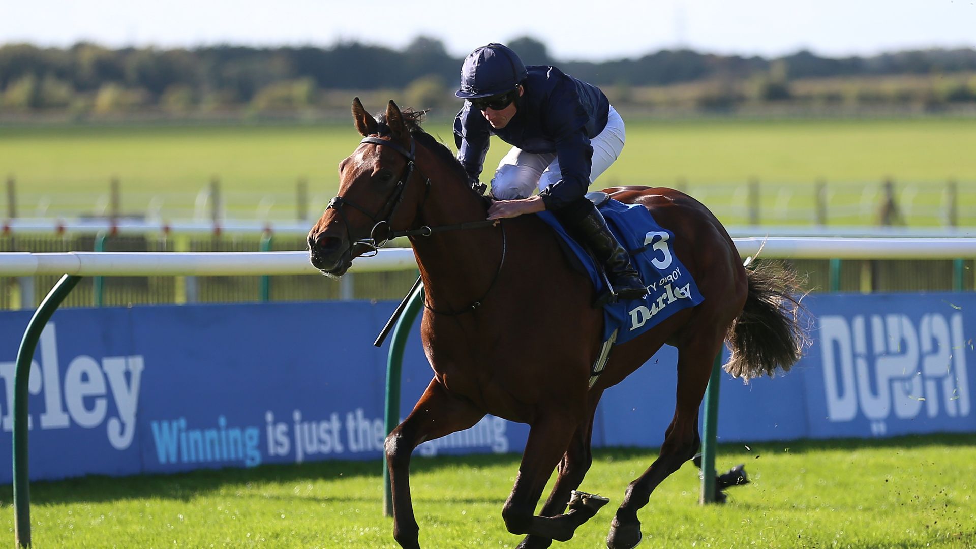 How are the Oaks and Derby pictures after Chester, the French Guineas and the Trials?