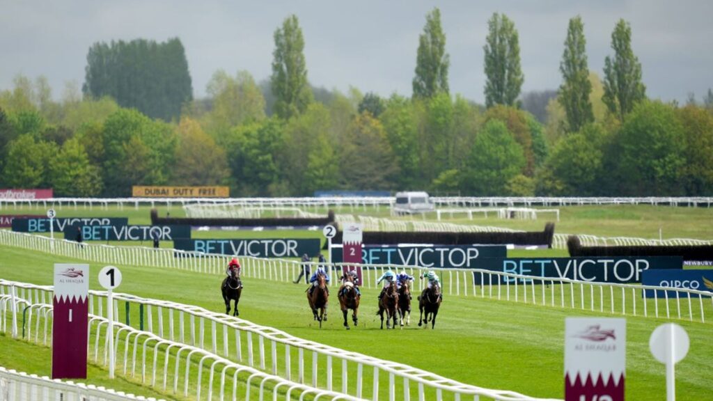 Weekend Winners: 40/1 Lockinge each-way chance for Hi Royal