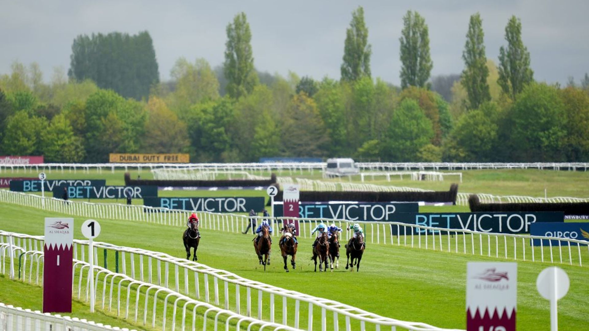 Weekend Winners: 40/1 Lockinge each-way chance for Hi Royal