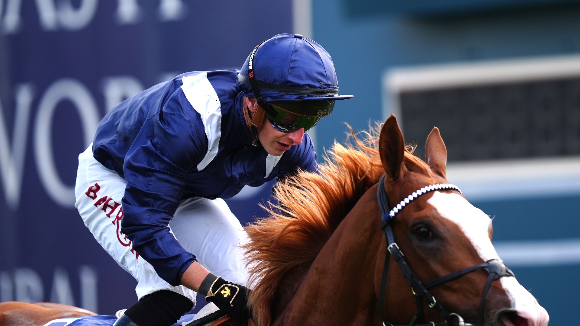 ‘He’s the best possible choice at the moment’ | Tom Marquand backs a Derby bid for Economics