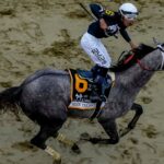 Seize The Grey denies Mystik Dan in Preakness Classic