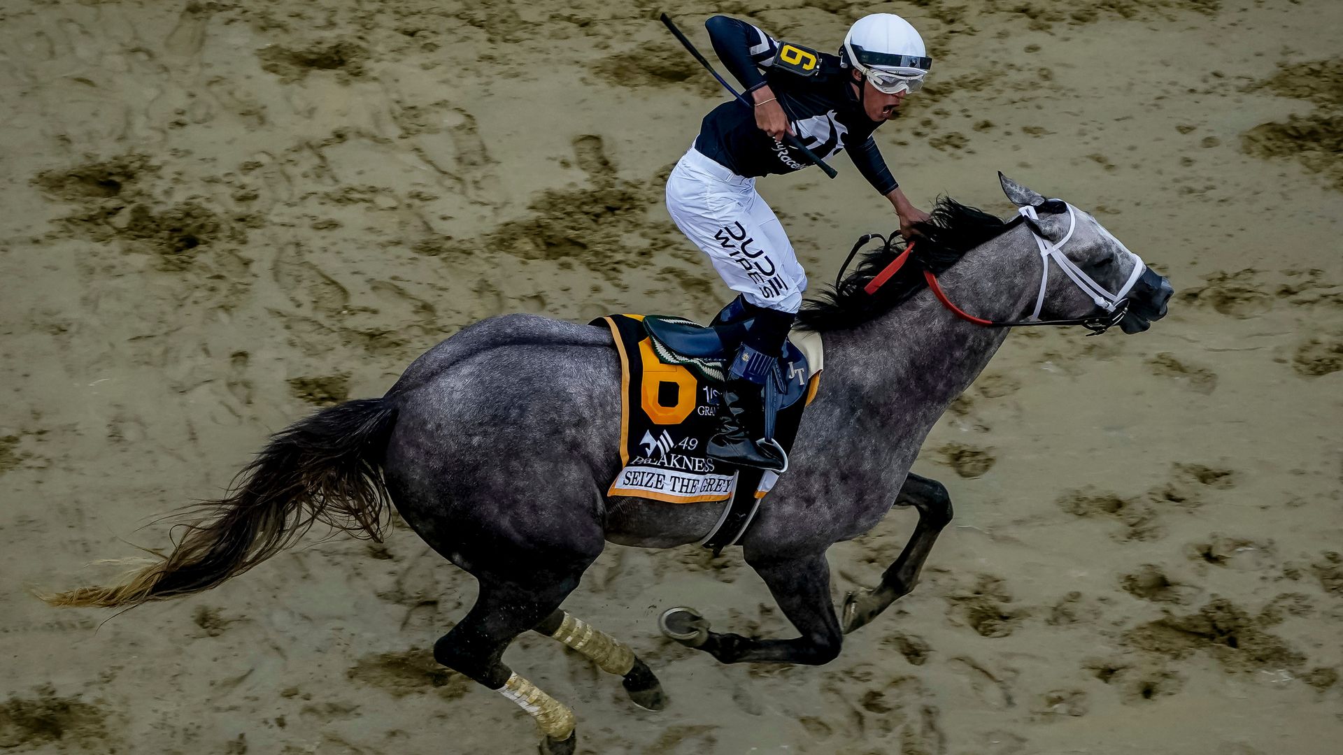 Seize The Grey denies Mystik Dan in Preakness Classic