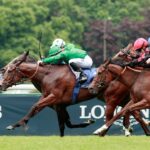 British duo Kathmandu and Dancing Gemini just denied in French Guineas