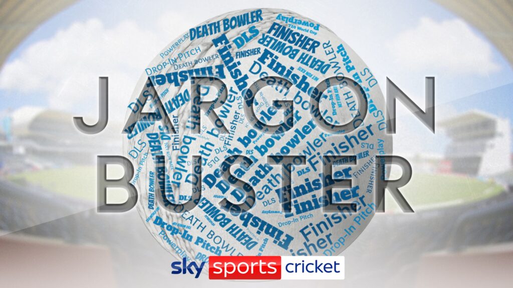 T20 World Cup jargon buster: Powerplay, finisher, drop-in pitch