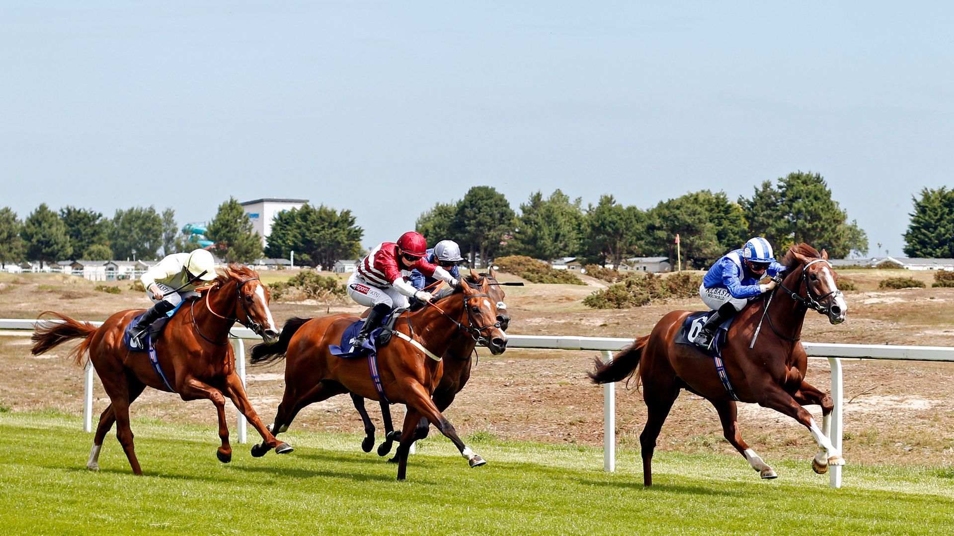 Today on Sky Sports Racing: €625k Frankel colt Age Of Gold headlines