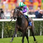 Weekend Winners: Vadream backed to take Temple Stakes honours