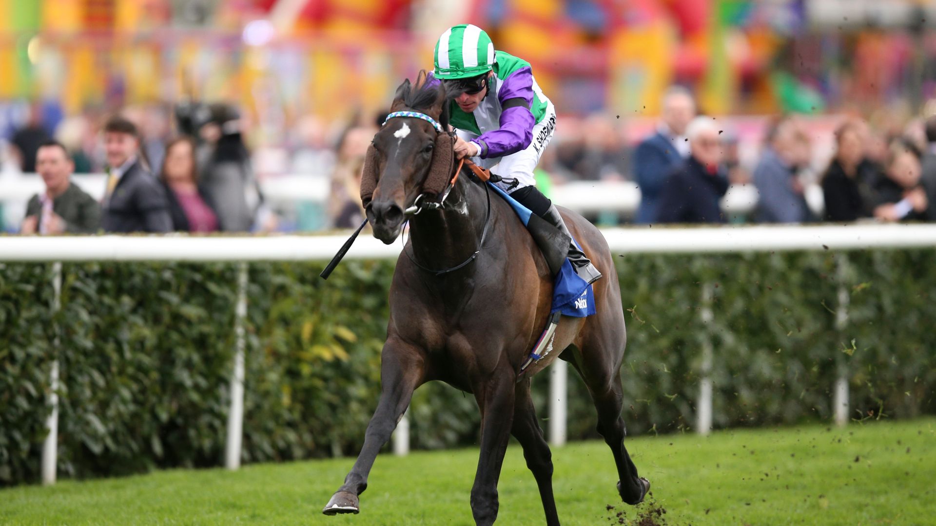 Weekend Winners: Vadream backed to take Temple Stakes honours