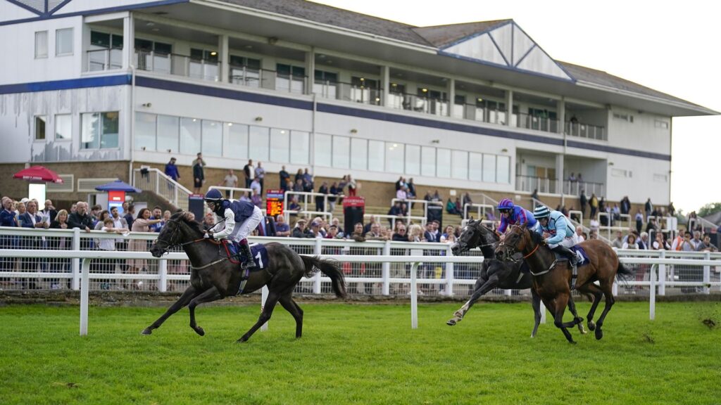 Monday Tips: Five horses from Newton Abbot and Windsor