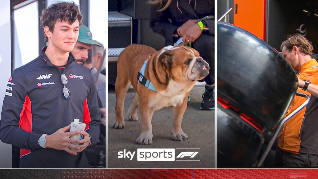 Roscoe steals the show and Luke Littler! | Sights and sounds of Silverstone GP