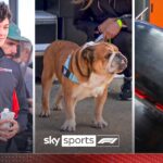 Roscoe steals the show and Luke Littler! | Sights and sounds of Silverstone GP