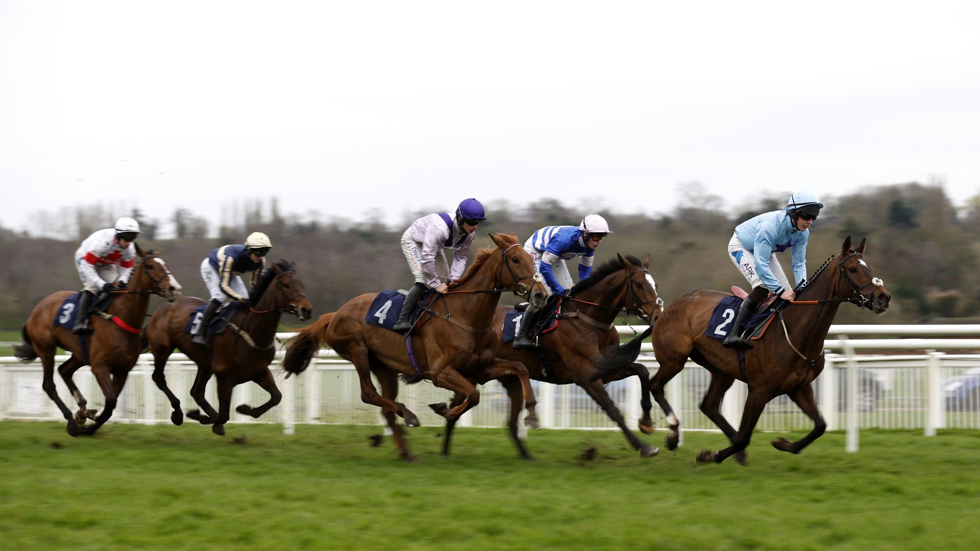 Today on Sky Sports Racing: Uttoxeter, Brighton and Lingfield feature