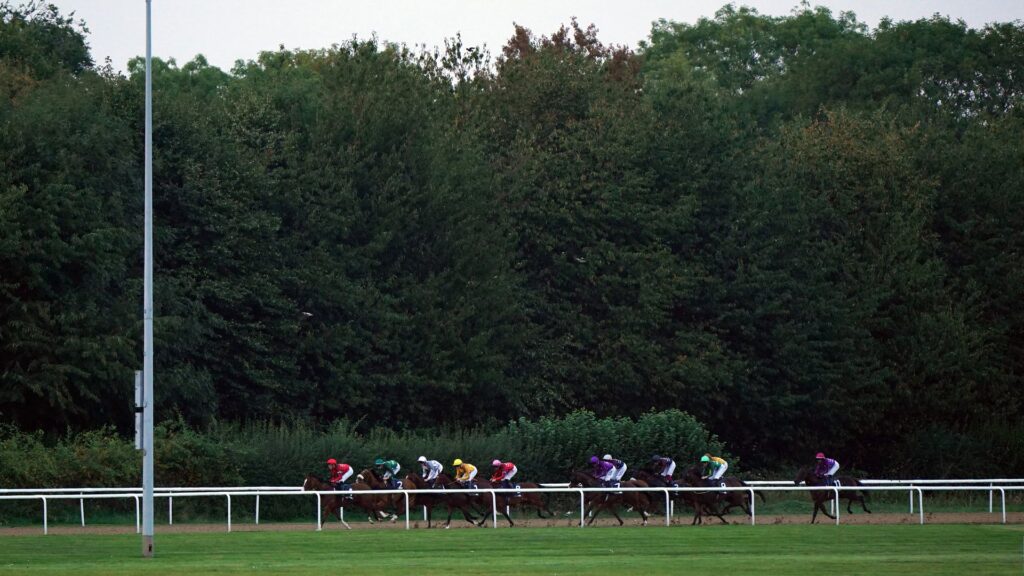 Monday tips: Five to follow from Worcester, Ripon and Wolverhampton