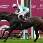 Arc winner Bluestocking retired to stud