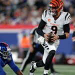 Bengals claim crucial win at Giants to raise playoff hopes