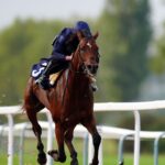 City Of Troy to stand at stud in Ireland after Breeders’ Cup