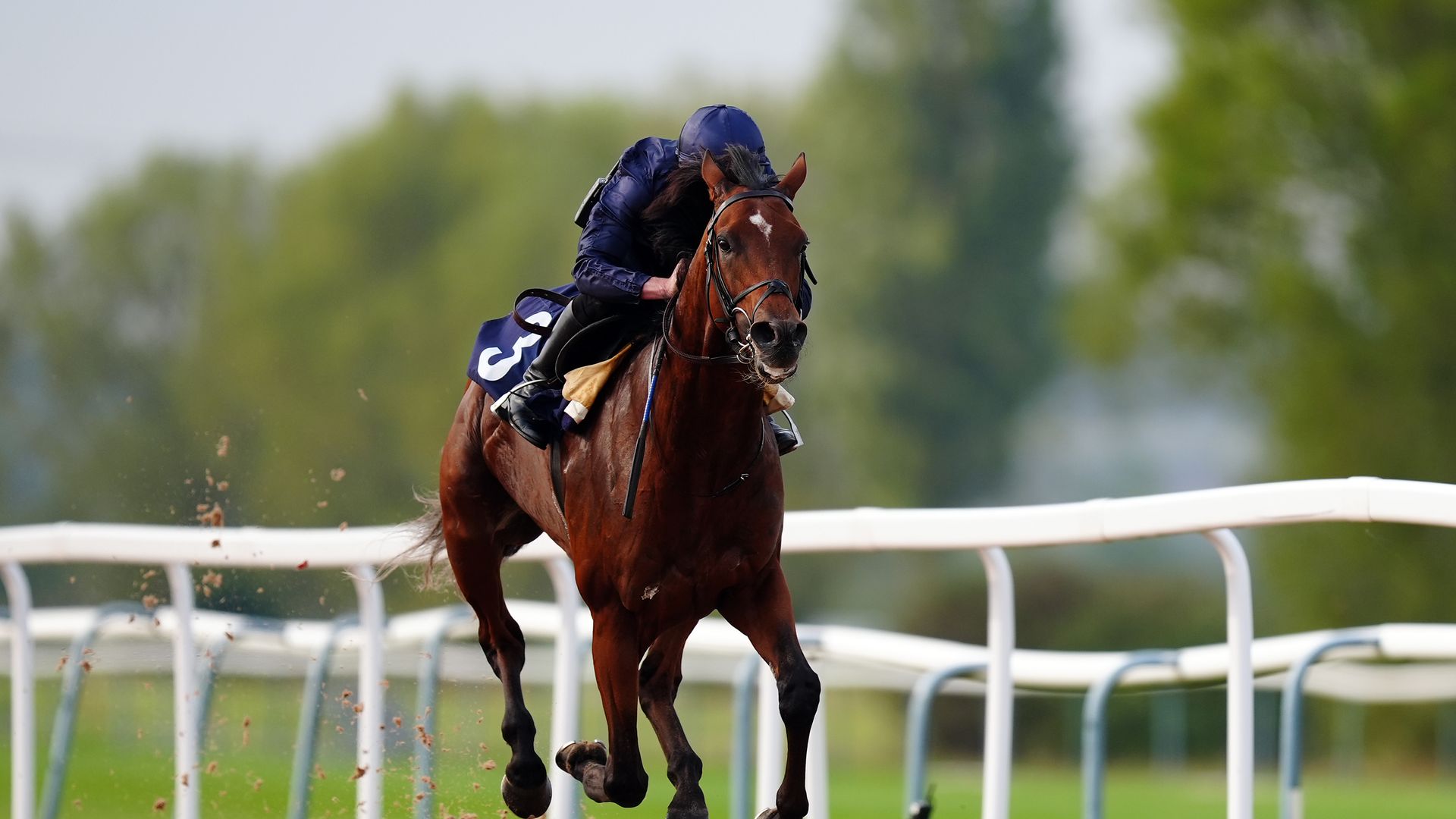 City Of Troy to stand at stud in Ireland after Breeders’ Cup