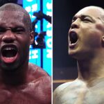 IBF open to Dubois vs Wardley for world heavyweight title