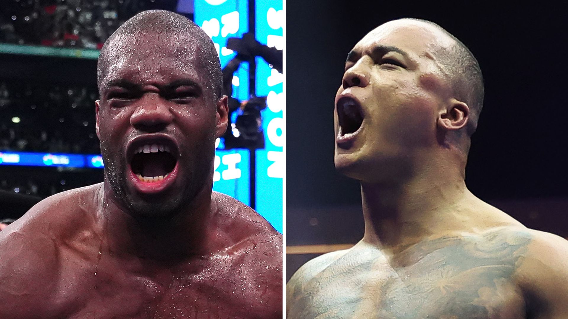 IBF open to Dubois vs Wardley for world heavyweight title