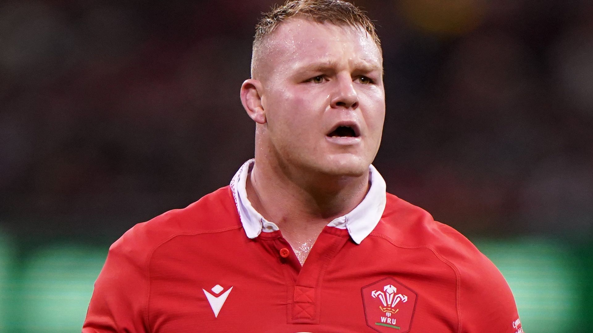 Lake captain, two uncapped players in Wales’ Autumn Nations Series squad