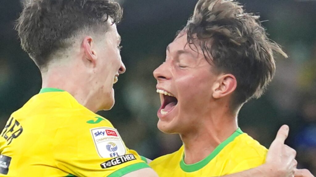 Norwich battle back to earn point against Boro in six-goal thriller