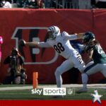 What a grab! Bengals’ Gesicki makes stunning one-handed catch!