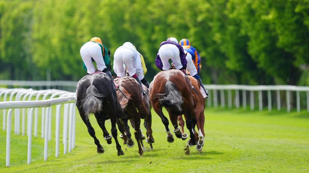 Today on Sky Sports Racing: Four good chances for team Skelton at Newton Abbot