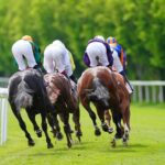 Today on Sky Sports Racing: Four good chances for team Skelton at Newton Abbot