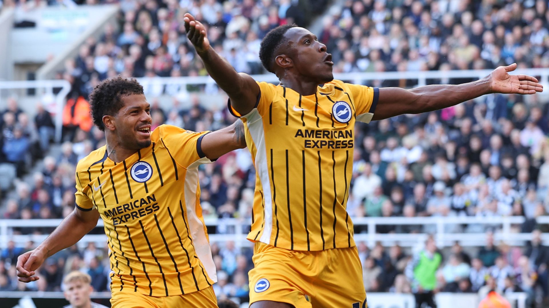 Welbeck strike sends Brighton fifth as Newcastle left frustrated