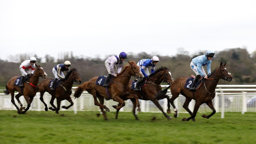 Uttoxeter hosts jumps action before Flat card at Newcastle