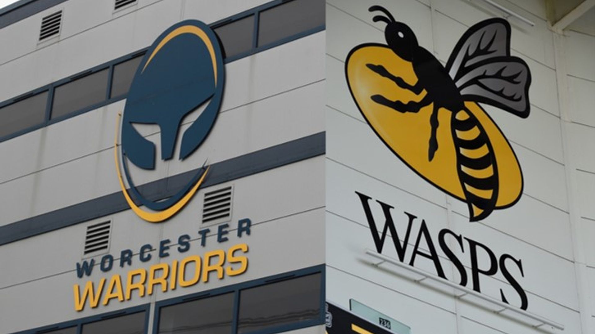 Wasps, London Irish, Worcester apply for Championship places