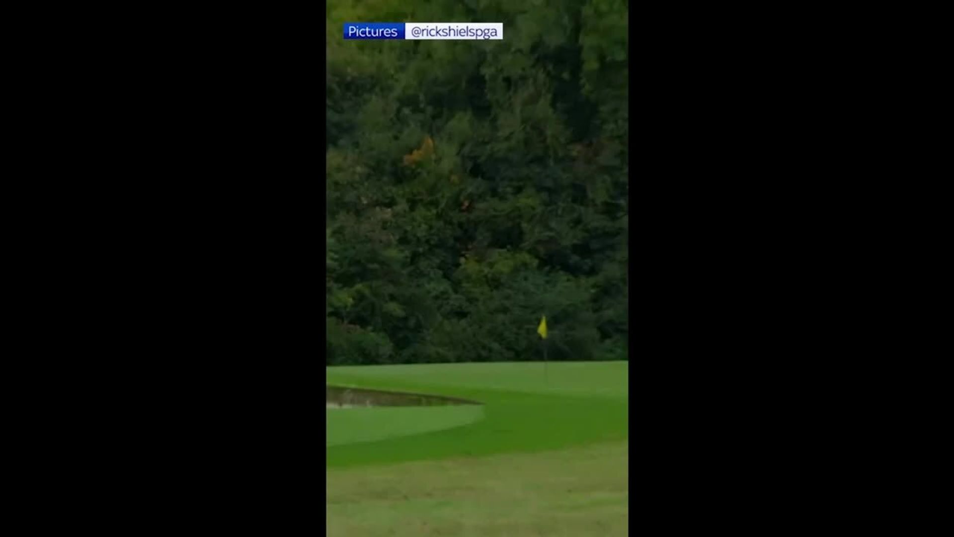 ‘It’s right on it!’ | Harry Kane attempts hole-in-one on a par 4!