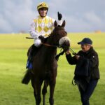 Alphonse Le Grande reinstated as Cesarewitch winner after whip count appeal