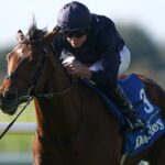 Today on Sky Sports Racing: City of Troy seeks Breeders’ Cup glory