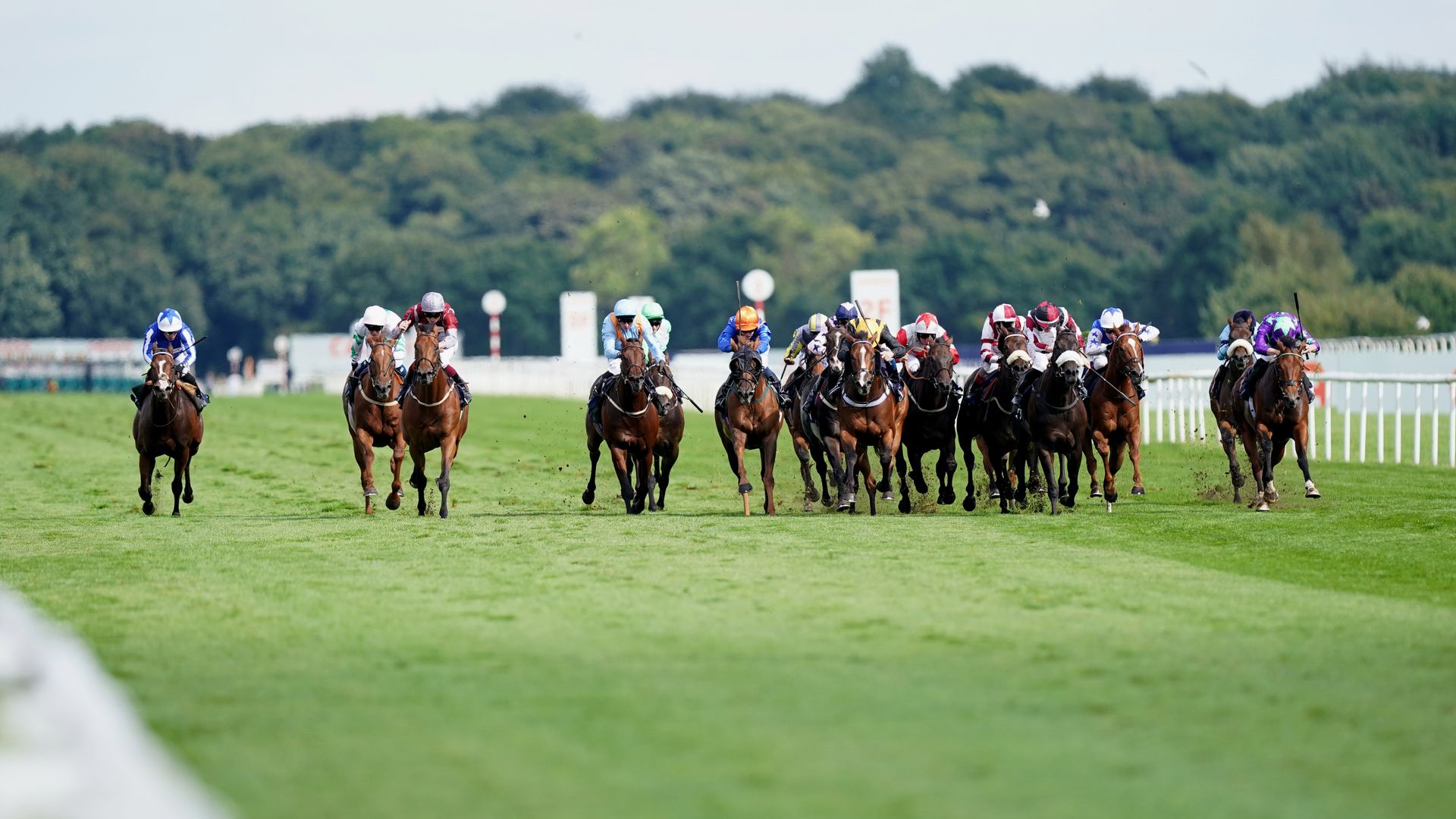 Today on Sky Sports Racing: Doncaster’s November Handicap the feature