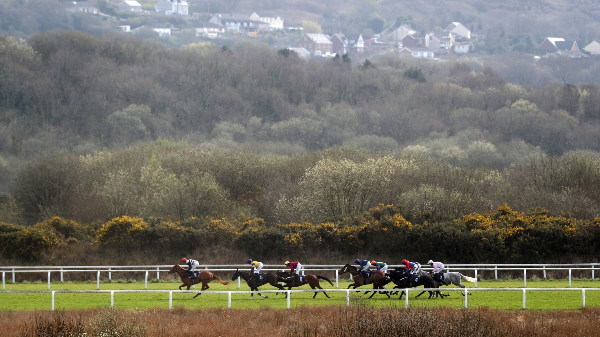 Today on Sky Sports Racing: Five nice chances for Harry Cobden at Ffos Las