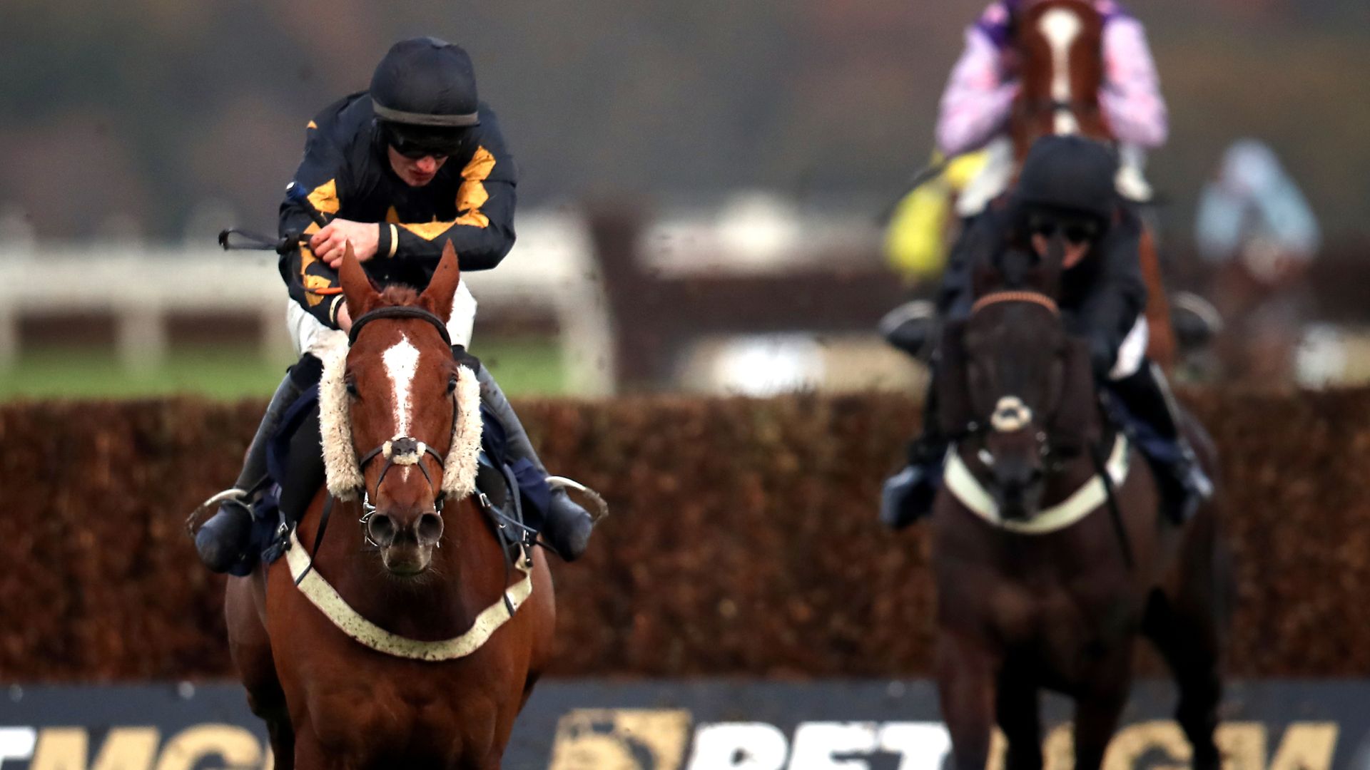 Weekend Winners: Grand Sefton best bets including a 16/1 fancy