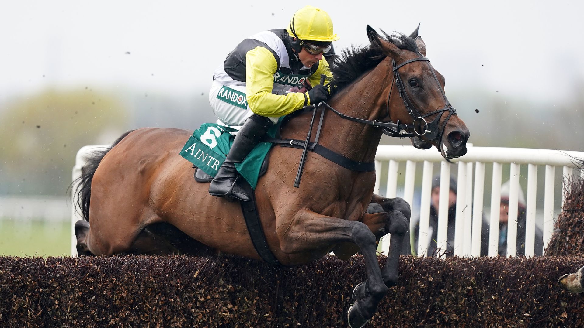 Coral Gold Cup: A guide to the runners in Saturday’s Newbury feature