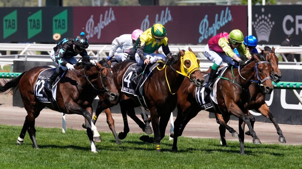 Irish jockey Dolan rides 90/1 outsider to thrilling Melbourne Cup win