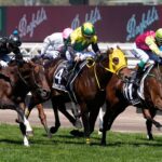 Irish jockey Dolan rides 90/1 outsider to thrilling Melbourne Cup win