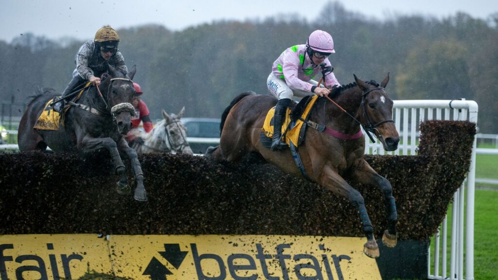 Royale Pagaille battles to second Betfair Chase success