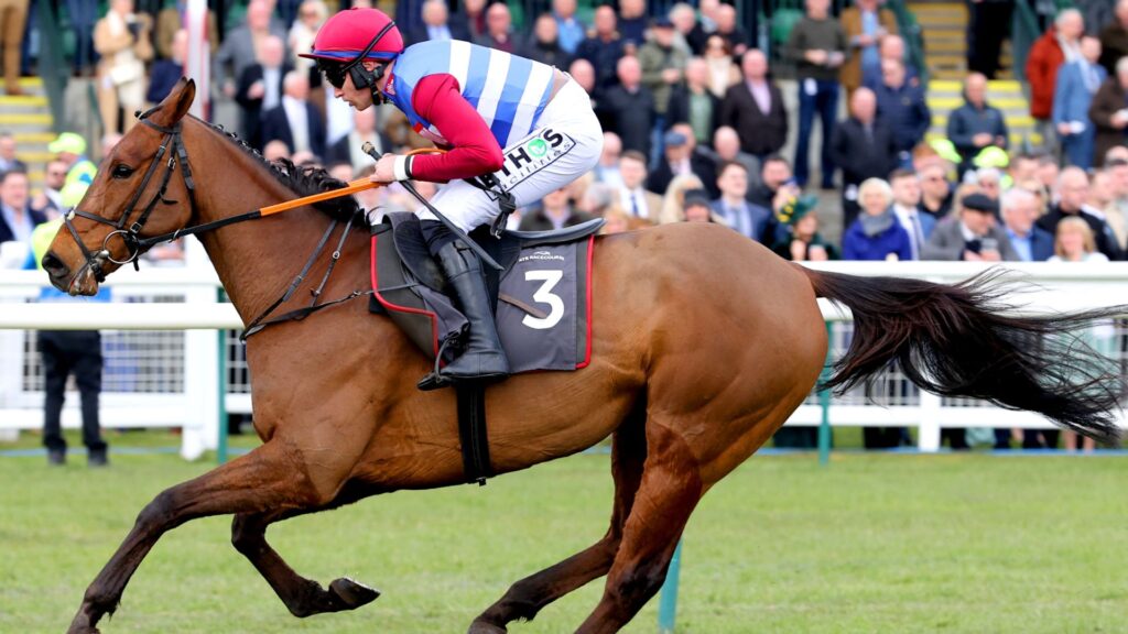 Four horses to follow at Ascot on Saturday, including one in the feature