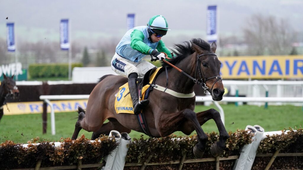 Today on Sky Sports Racing: Cheltenham winner makes chase debut at Bangor