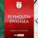 Plymouth 1-2 Swansea