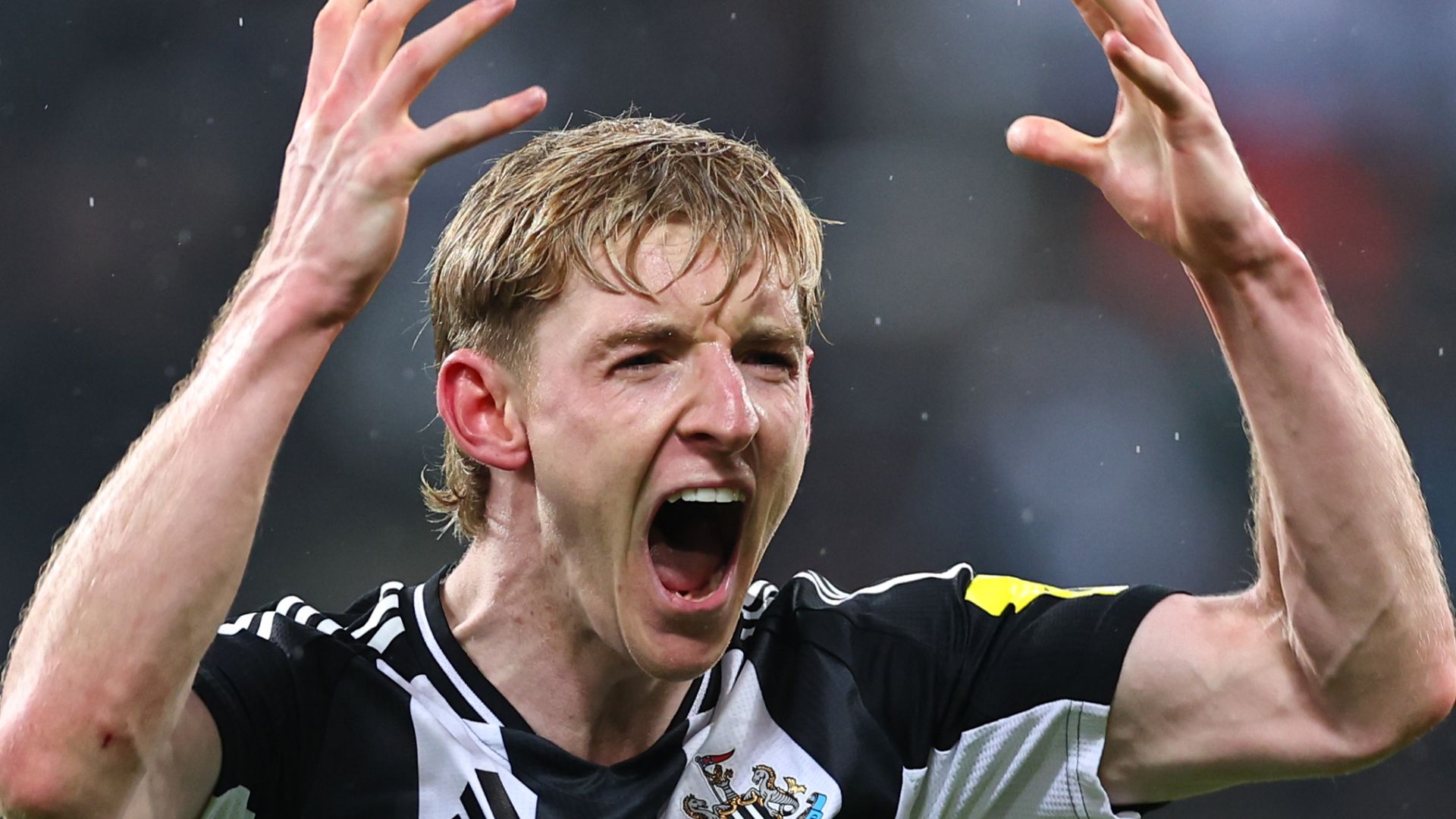 Gordon: Who said I was leaving Newcastle? | ‘Winning a trophy my priority’