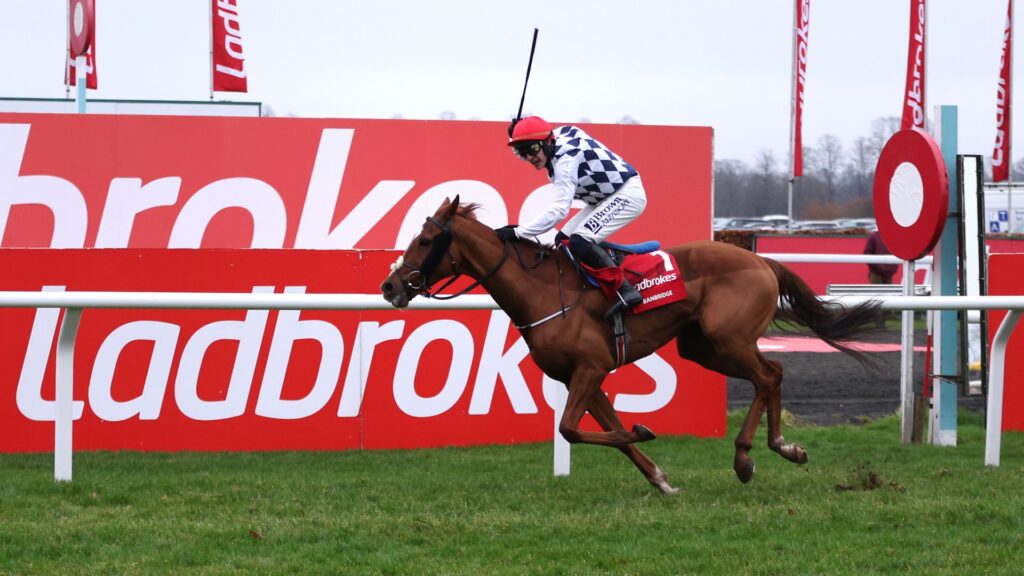 Banbridge reels in Il Est Francais for King George glory